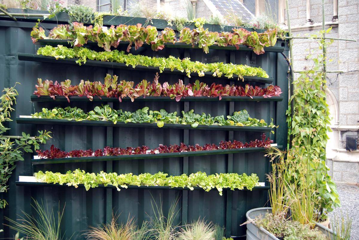 https://cdn.idntimes.com/content-images/post/20170614/vertical-vegetable-garden-ideas-17-1-cfb7962566a93cf895016fa0447e4899.jpg